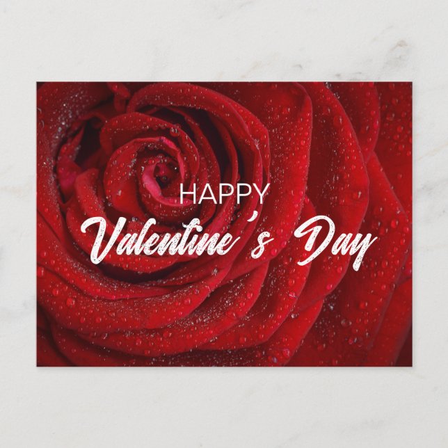 Röd ros, Valentine Vykort (Framsida)