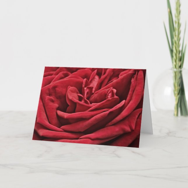 Röd ros Velvet Petals Flower Art Note Card Kort (Framsida)