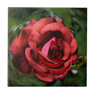 Röd ros Via Glass Blommigt Art Tile Kakelplatta