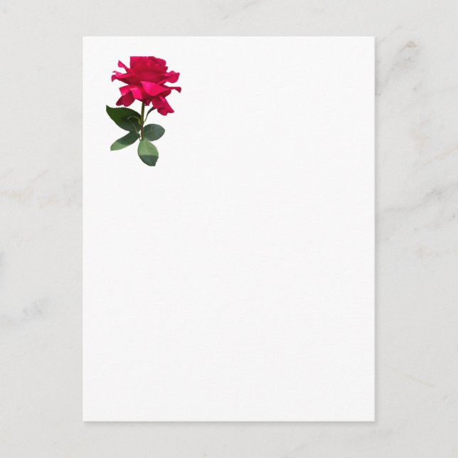 Röd ros vykort (Framsida)