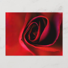 Röd ros-vykort för utskrift helg vykort