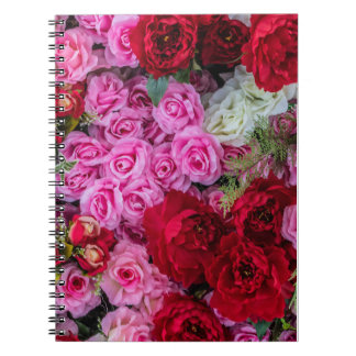 Röd, rosa och vit ros-blommans bakgrund anteckningsbok