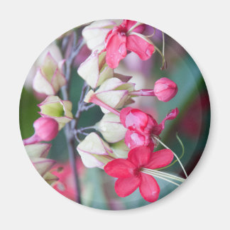 Röd Rosa och vita tropiska blommor Magnet