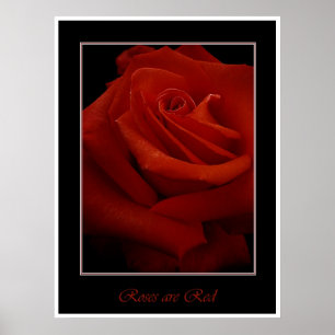 röd rosaffisch poster