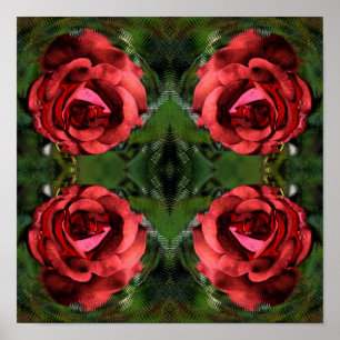 Röd rosblomma i blom Abstract konst Poster