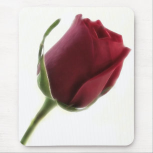 Röd rosblomma på vit musmatta