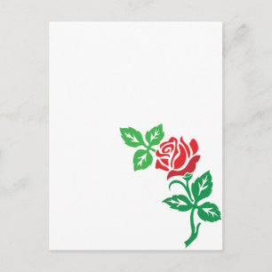 Röd rosblomsdesign – Klassisk blomsterprakt Vykort