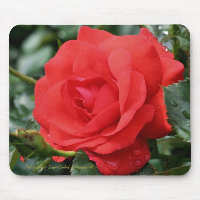Röd rosblomsterfotografi Mousepad Musmatta (Framsidan)