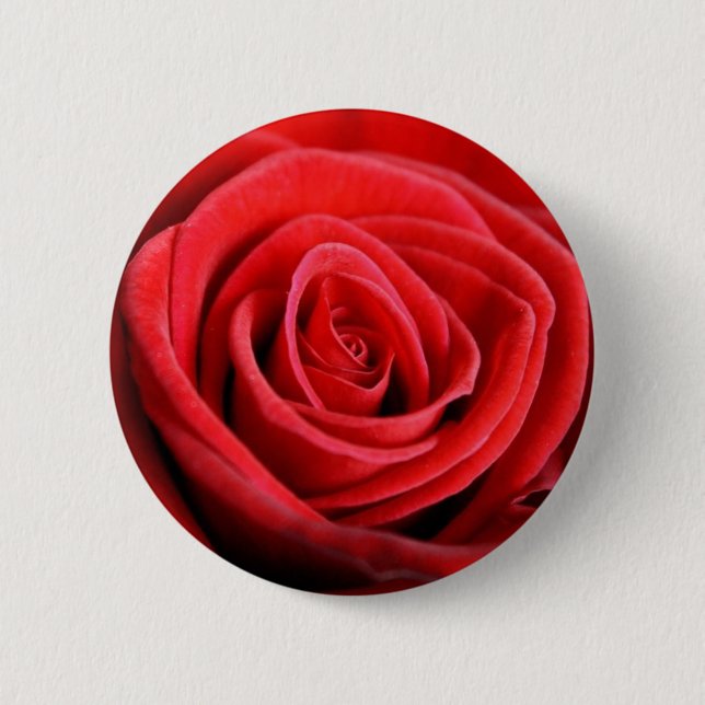 Röd roscloseupen knäppas emblem knapp (Framsida)
