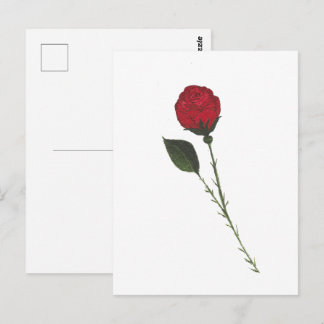 Röd rosen vykort