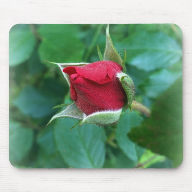 röd rosenknopp musmatta (Framsidan)