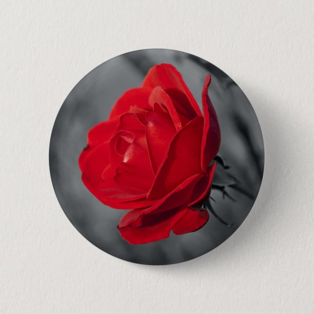Röd Rosenspänne Knapp (Framsida)