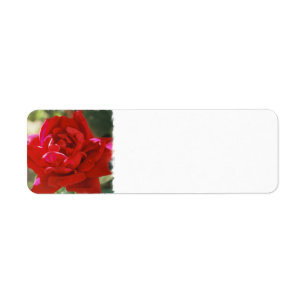 Röd rosreturetiketter returadress etikett