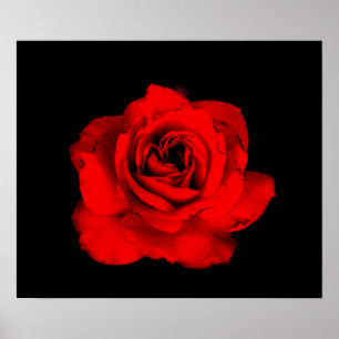Röd rostryck poster