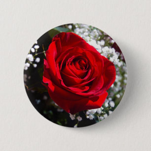 Röd rosvalentin dag klämmer fast knapp
