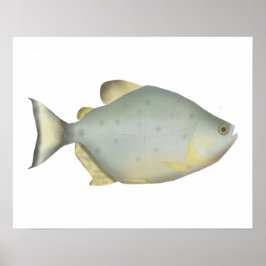 Röd Ruby Piranha Poster
