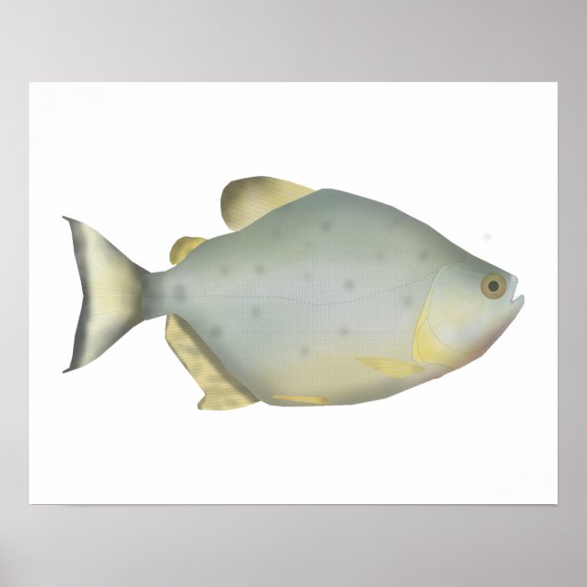 Röd Ruby Piranha Poster (Framsidan)
