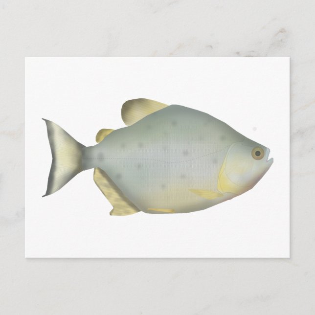 Röd Ruby Piranha Vykort (Framsida)
