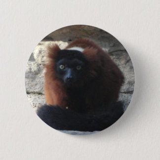 Röd Ruffed Lemur Knapp