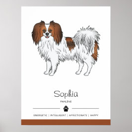 Röd Sabel Phalène Med Rasspecifika Egenskaper Och Poster