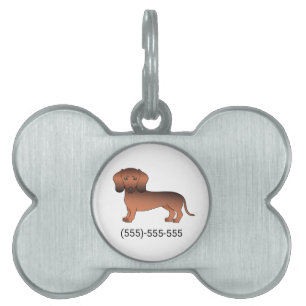 Röd Sabel Slät Päls Dachshund Hund & Telefonnummer ID-bricka Husdjur