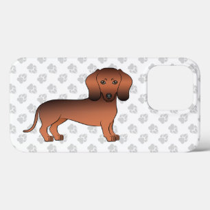 Röd Sable Korthårig Dachshund Tecknad Hund & Tassa