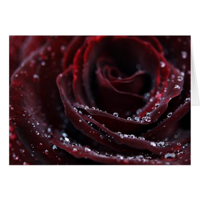 Röd sammet hälsningskort (Framsidan Horizontal)