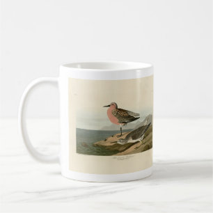 Röd sandpiper, Audubon's Birds of America Kaffemugg