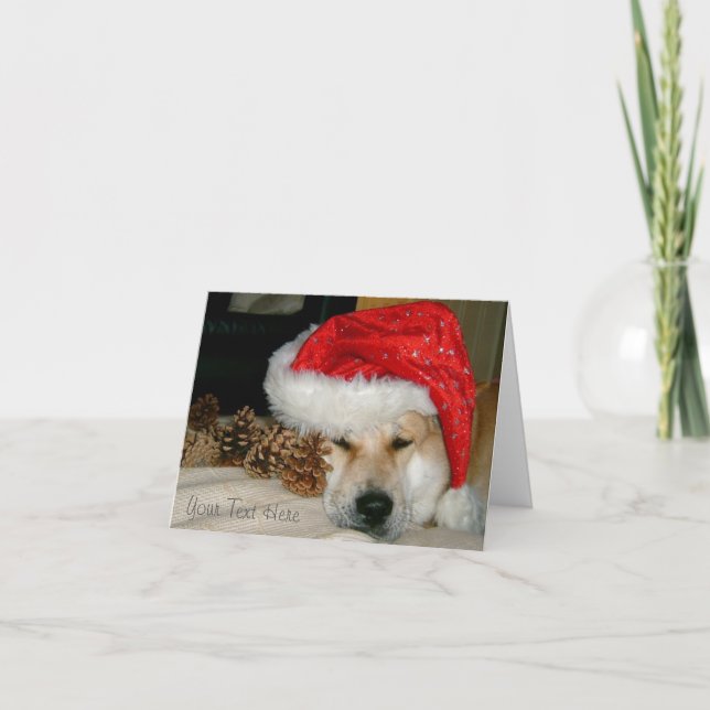 Röd santa för gullig akita hund hatt med julkottar helgkort (Framsida)