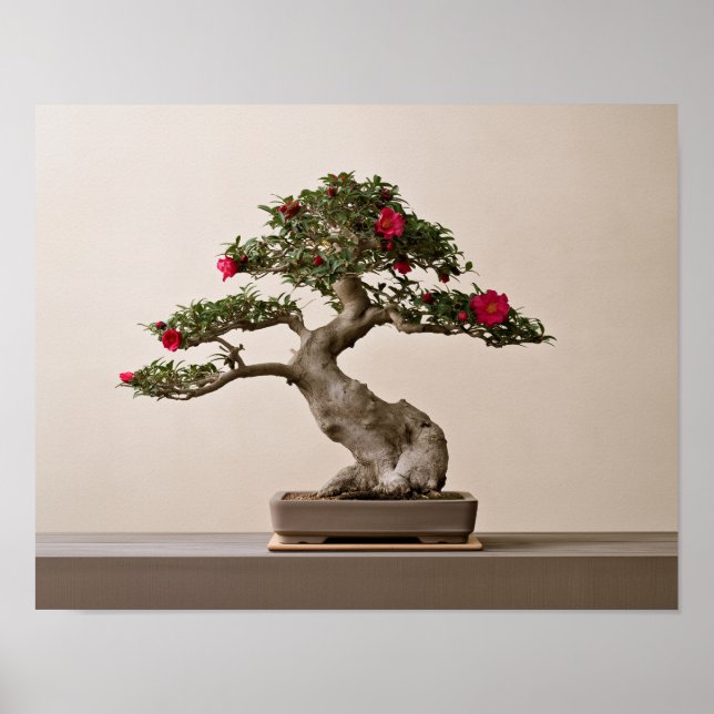 Röd Sasanqua Kamelia Bonsai Konsttryck | Japansk  Poster (Framsidan)