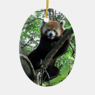 Röd serie för hotade arter för Pandaprydnad~ Julgransprydnad Keramik