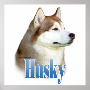 Röd siberian huskyaffisch poster
