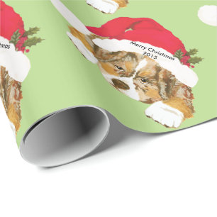 Röd sjal för gåva för Merle Aussie julvalp Presentpapper