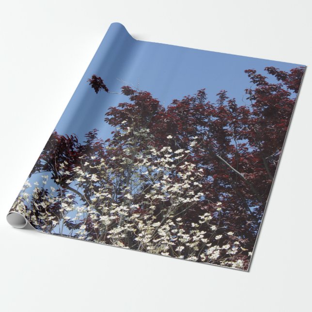 Röd sjal för vit- och blåttnaturgåva presentpapper (Utrullad)