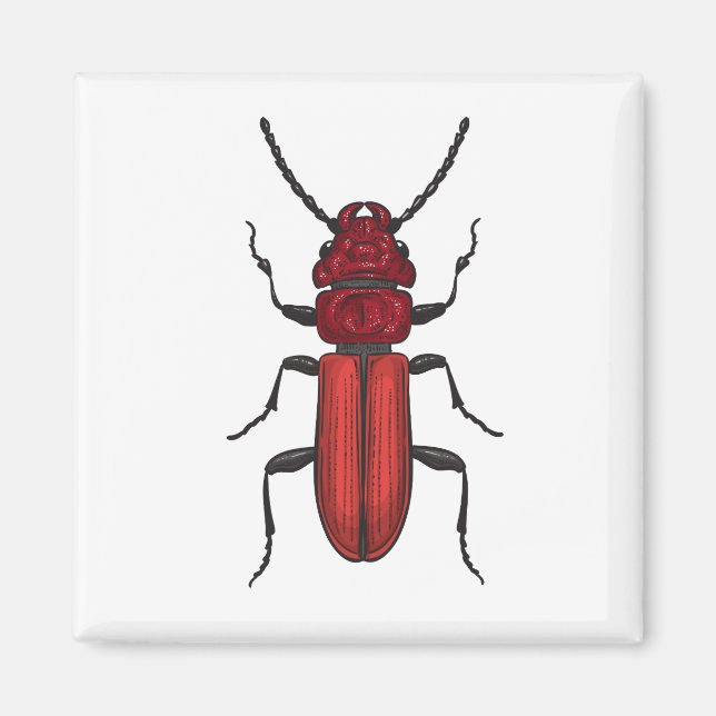 Röd skalbagge magnet (Framsidan)