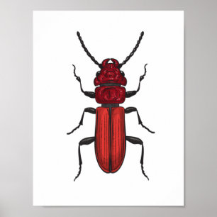 Röd skalbagge poster