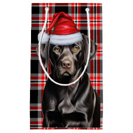 Röd skiva med en Svart lab Hund i gryningen