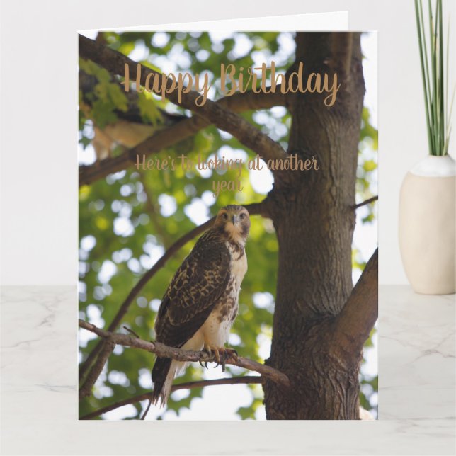 Röd skrapad Hawk Birthday-kort Kort (Framsida)