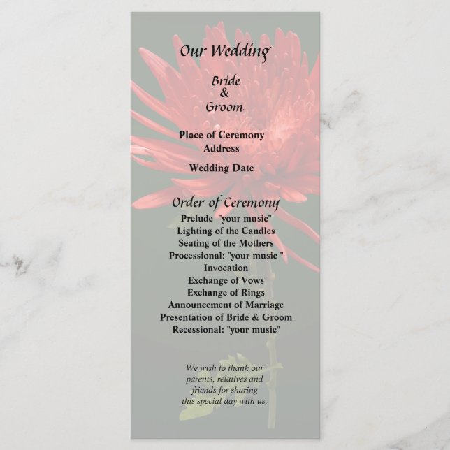 Röd spindelkrysantemum program (Framsida)