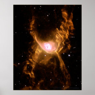 Röd spindelNebula 16x20 (16x20) Poster