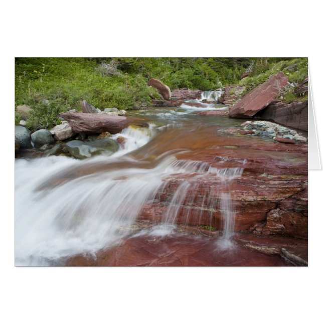 Röd sten i Baring Creek i Glacier National Hälsningskort (Framsidan Horizontal)