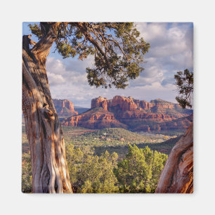 Röd sten Sedona Arizona Magnet