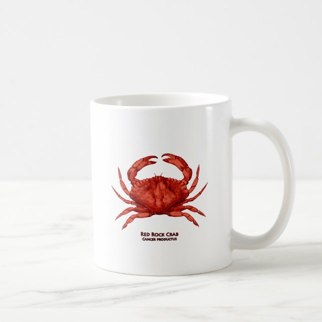 Röd (Stillahavs-) stenkrabba, Kaffemugg (Höger)
