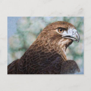 Röd-svan Hawk-vykort Vykort