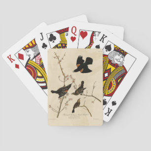 Röd svart fågel - Audubon's Birds of America Casinokort