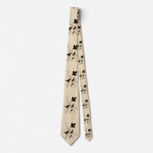 Röd svart fågel - Audubon's Birds of America Slips (Framsida)