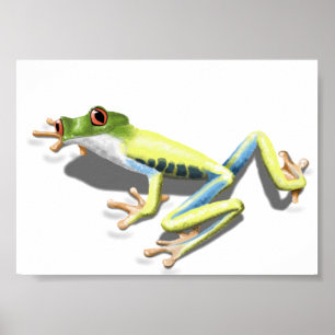 Röd synad groda poster