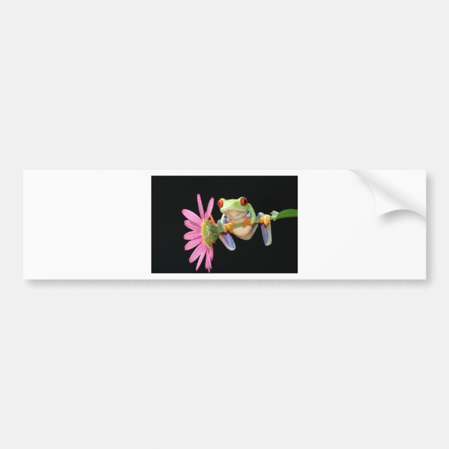 röd synad trädgroda bildekal (Framsidan)