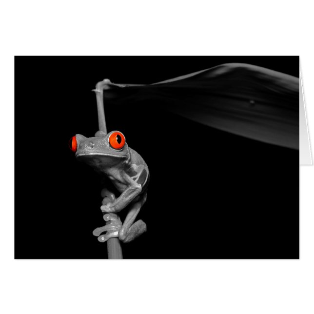 Röd synad trädgroda hälsningskort (Framsidan Horizontal)