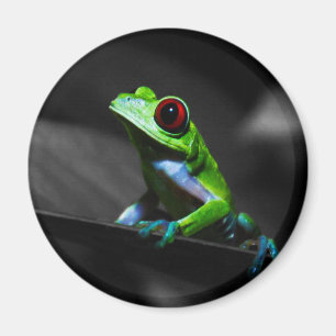 Röd synad trädgroda III Magnet